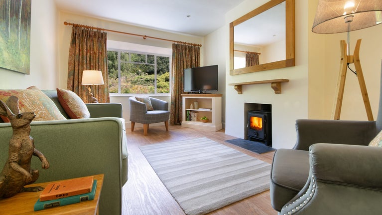 The sitting room at Cider Cottage, Devon